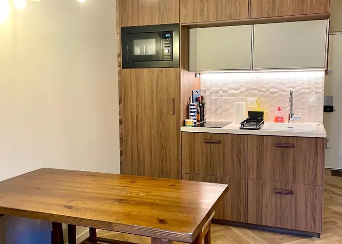 公寓 Terrasse Centre Martin *